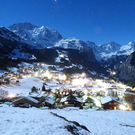 Chalet Alpina Gyger Βένγκεν Εξωτερικό φωτογραφία