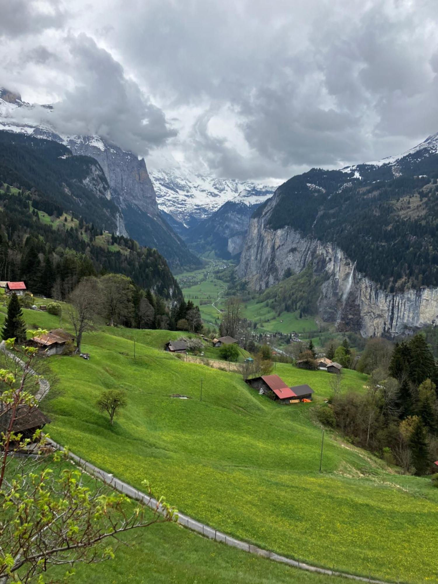 Chalet Alpina Gyger Βένγκεν Εξωτερικό φωτογραφία