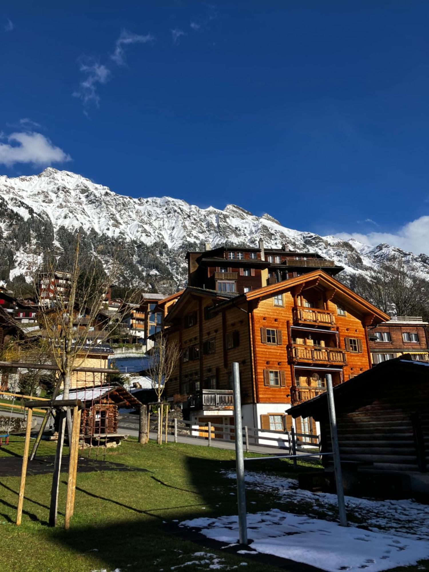 Chalet Alpina Gyger Βένγκεν Εξωτερικό φωτογραφία