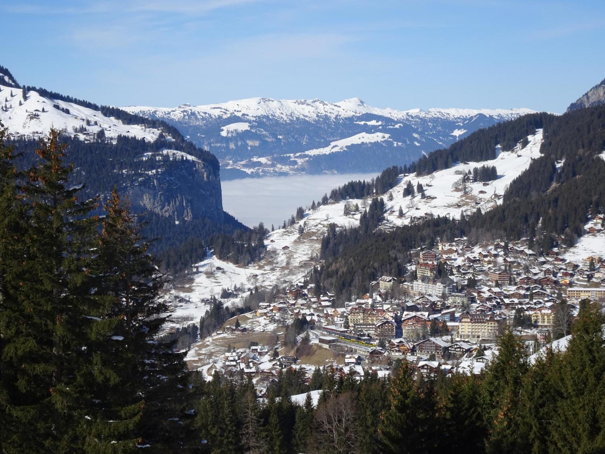 Chalet Alpina Gyger Βένγκεν Εξωτερικό φωτογραφία