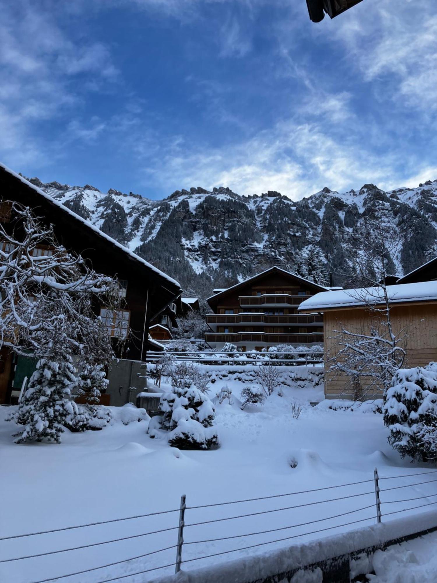 Chalet Alpina Gyger Βένγκεν Εξωτερικό φωτογραφία