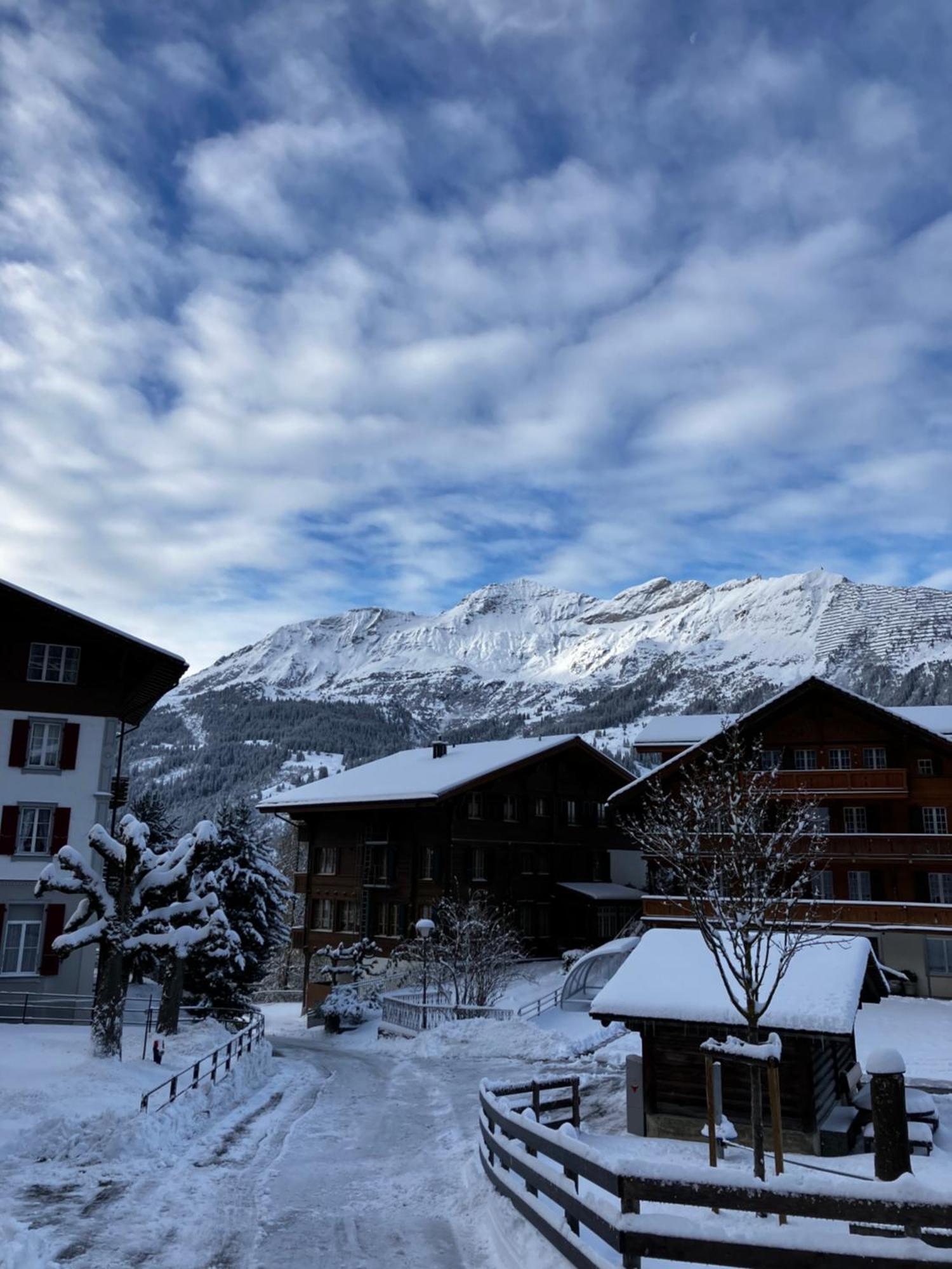 Chalet Alpina Gyger Βένγκεν Εξωτερικό φωτογραφία